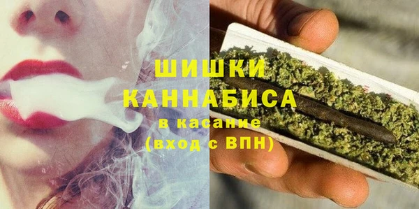 гашик Новокубанск