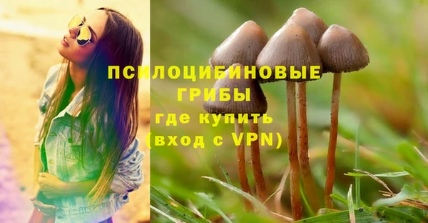гашик Новокубанск