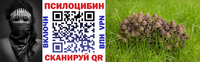 Псилоцибиновые грибы MAGIC MUSHROOMS Любань